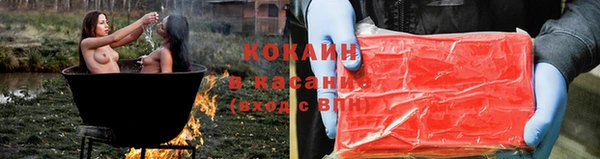 шишки Алексин