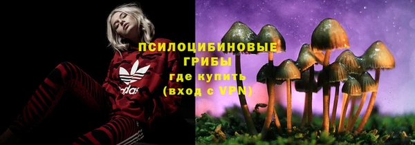 шишки Алексин