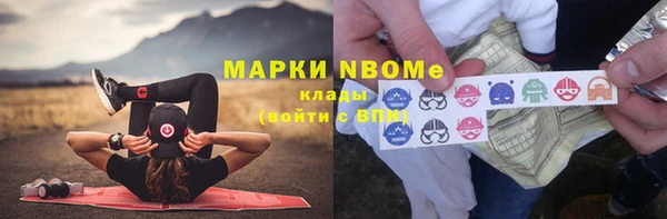 apvp Алзамай