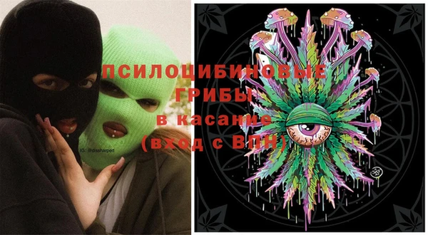apvp Алзамай