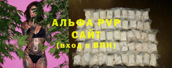 шишки Алексин
