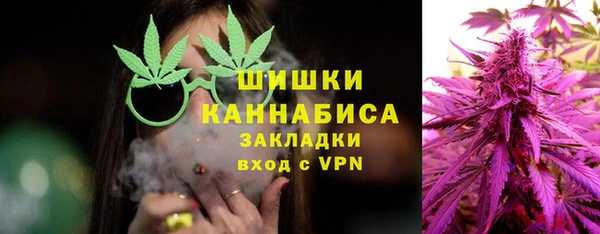 шишки Алексин