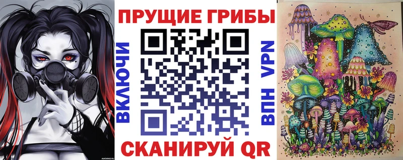 Галлюциногенные грибы Magic Shrooms  наркотики  Амурск 
